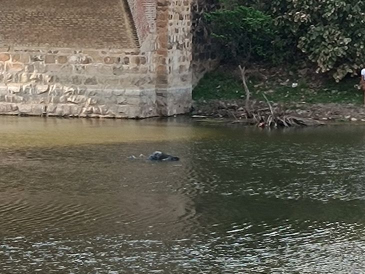 Mau Rani Pur: Unidentified Woman Body Found in River; Police ...