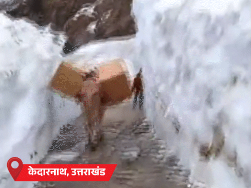 MP के 36 जिलों में बारिश, 7 में ओले गिरे:राजस्थान में भी ओले गिरे, हिमाचल में बर्फबारी; यूपी में बिजली गिरने से 5 की मौत