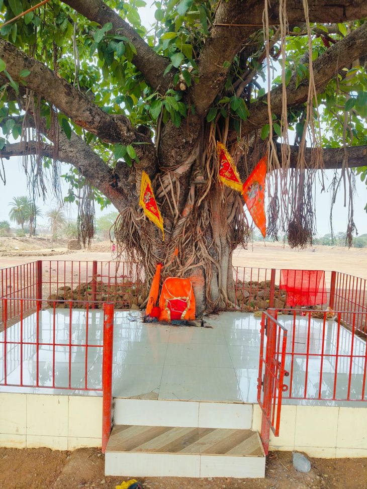 Hanuman is seated under the banyan tree, his birth anniversary was ...
