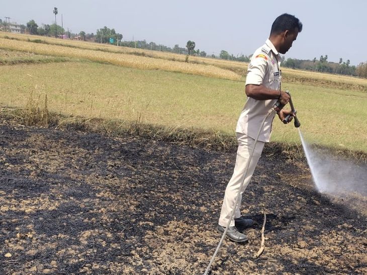 शेखपुरा में शॉर्ट सर्किट से 3 बीघे गेहूं जला:किसान को लाखों का नुकसान, फायर ब्रिगेड ने बुझाई आग