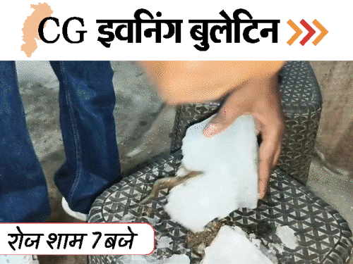 Chhattisgarh Top 10 News: CMO Aukat, JEE Exam Cheating, Hospital Fight, Frog Juice VIDEO