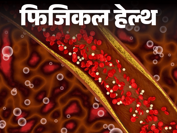 फिजिकल हेल्थ- कोलेस्ट्रॉल पर 8 साल बाद आई नई गाइडलाइन:  LDL 100 से नीचे रखने की सलाह, 20 साल से कराएं टेस्ट, जानें सभी जरूरी बातें