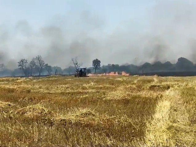 MP Nainpur Farmland Fire: 15 Acres Burnt to Rakh in Mandla