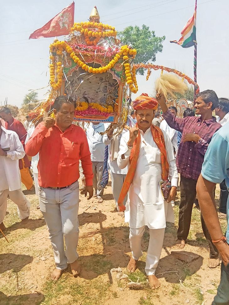 Marriage of two Peepal trees in Lalwadi