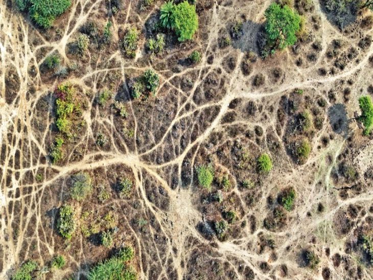 Our footsteps create spider web-like paths