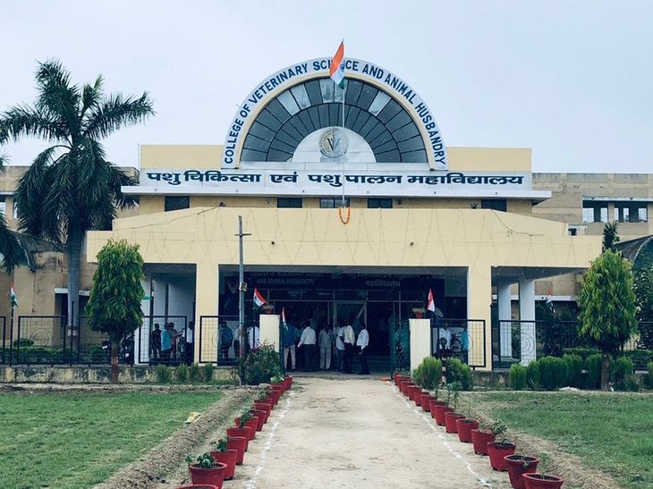 Acharya Narendra Dev Agri University Student Selected for ICAR-INLEAD ...
