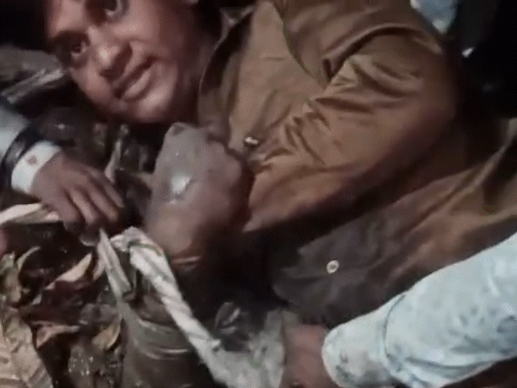 Khandwa Wolf Attack: Villagers Kill Animal After Goats Killed, 3 Youth ...