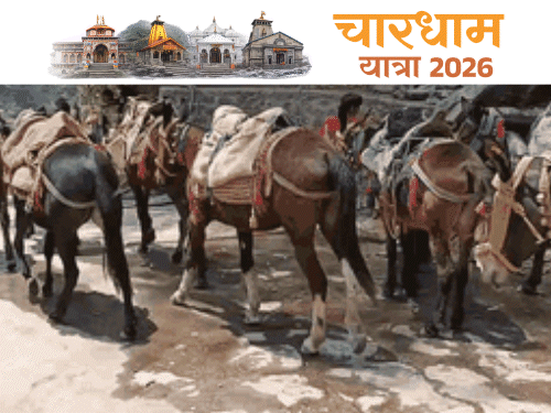 केदारनाथ में खच्चरों के गोबर से तैयार होंगे फ्यूल पैलेट्स:होटलों में कोयले की जगह इस्तेमाल होगा-गंदगी कम होगी; पिरूल मिलाकर बनाने का प्लान