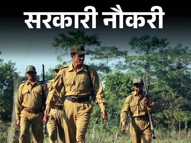 UP Forest Guard Recruitment | 708 Posts Notification Out