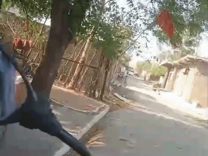 सीहोर चांदबड़ गांव में खुलेआम बिक रहा गांजा:  वीडियो सामने आया, सीएसपी बोलीं- कार्रवाई करेंगे – Sehore News