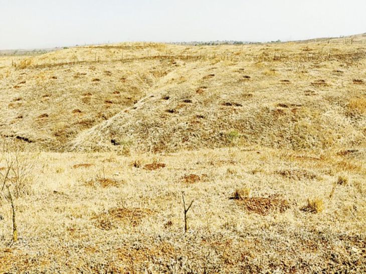 Neither dug pits nor planted trees; 100 crore rupees embezzled by ...