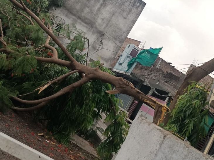 Ashta Storm: Hoardings Fly, Trees Uprooted, Power Outage