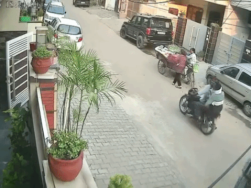 लुधियाना में महिला से चेन स्नैचिंग,VIDEO:  सब्जी लेने जा रही थी, बाइक सवार बदमाश झपटकर हुए फरार – Ludhiana News