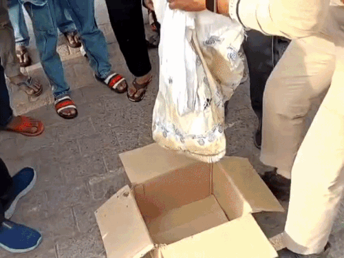 Alwar Cow Remains Found | Police CCTV & FSL Sample Collection