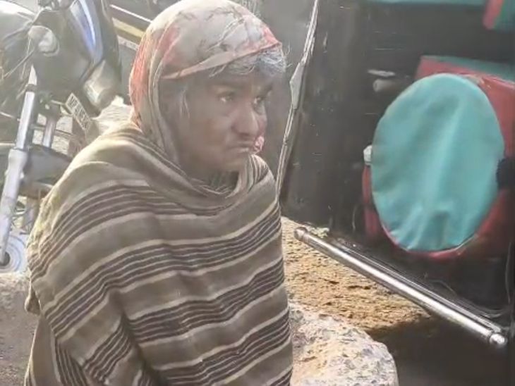 विदिशा में 3 आवारा कुत्तों ने बुजुर्ग को नोचा:  पैदल जा रही थी तभी हमला; नगर पालिका के खिलाफ आंदोलन की चेतावनी – Vidisha News