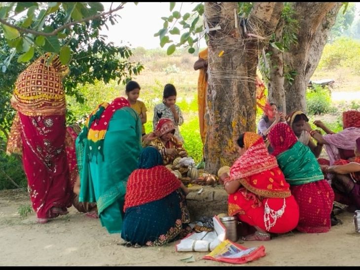 Bilhaur Suhaginen Celebrate Vati Savitri Vrat | Husband Long Life
