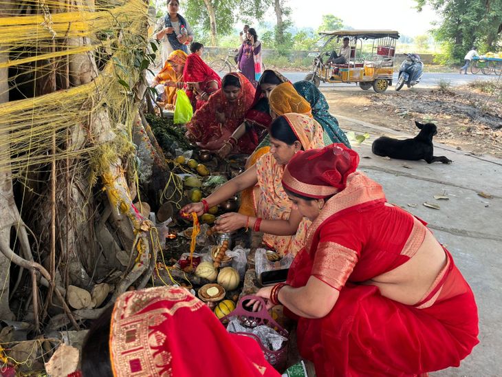Vat Savithri Amavasya Puja | Hardu Long Life & Family Happiness