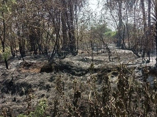 Chofra Dham Fire | Kevda Bagh Burned | Janpad At Kotra Police Control