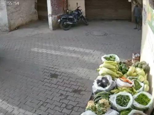 चंडीगढ़ में छत से गिरती नाबालिग लड़की का VIDEO:  कपड़े सुखाने गई थी, पैर फिसलने पर दूसरी मंजिल से गिरी, जमीन पर तड़पती रही – Chandigarh News
