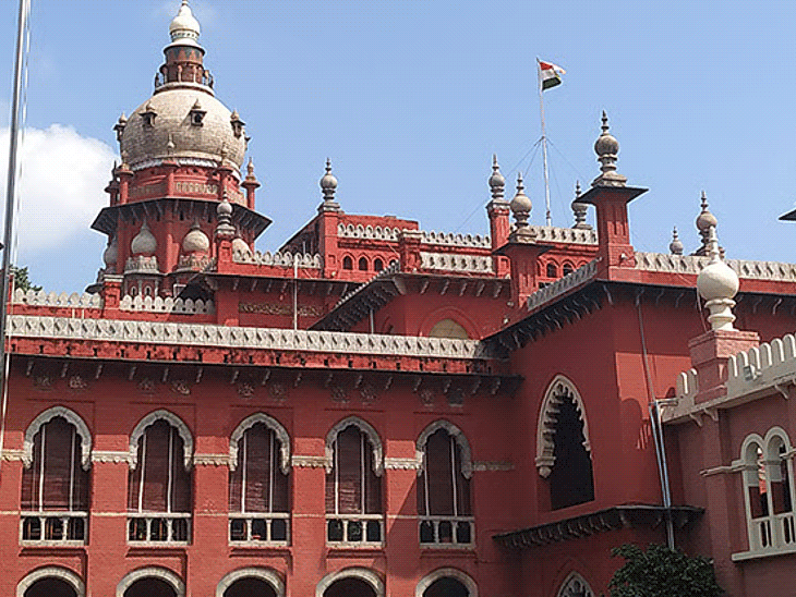 तमिलनाडु में बकरीद पर गाय-बछड़ों की कुर्बानी नहीं:  मद्रास हाईकोर्ट बोला- ये इस्लाम में जरूरी प्रथा नहीं, कई मुस्लिम शासकों ने भी रोक लगाई
