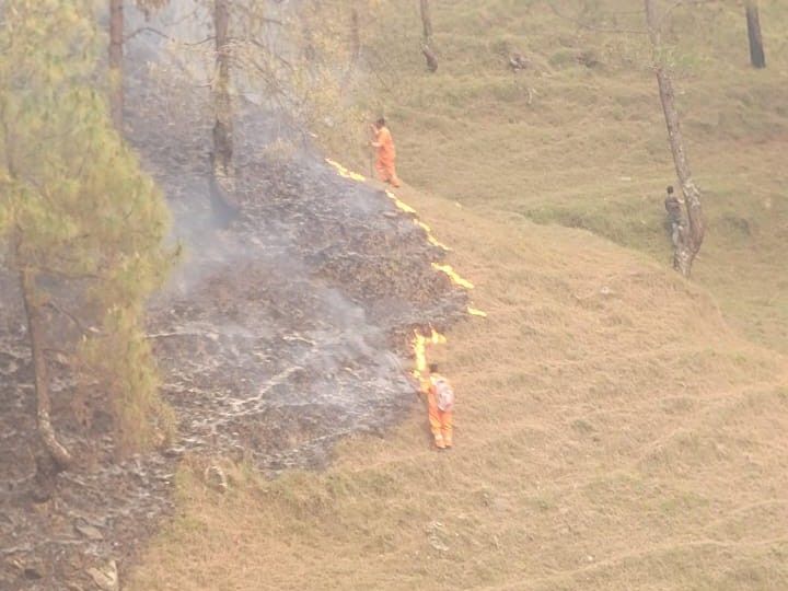 Binsar Wildlife Team Controls Nagsila Forest Fire | School Safe