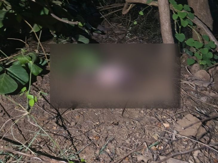 झाड़ियों में मिला नवजात शिशु का शव:  मंडला के अंजनिया चौकी क्षेत्र का मामला; तीन दिन पुराना शव होने की आशंका – Mandla News