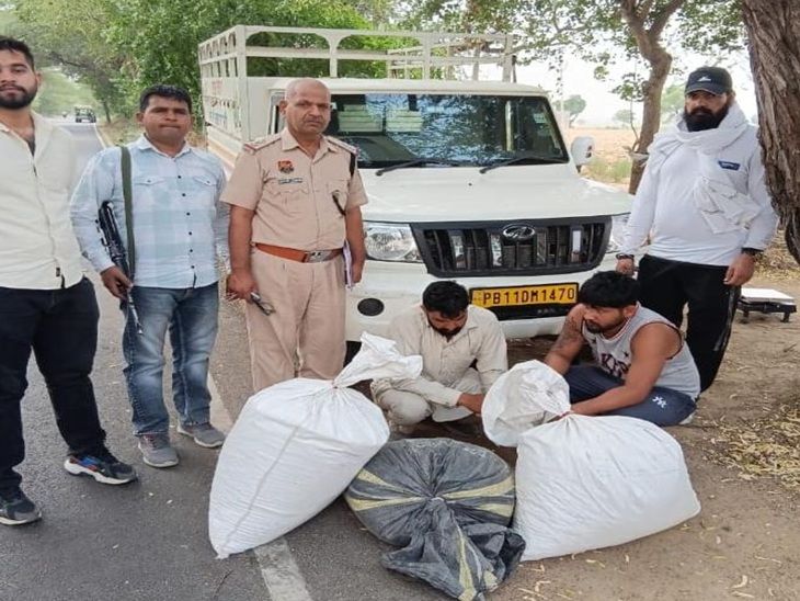 60 किलो डोडापोस्त के साथ पकड़े पंजाब के 2 तस्कर:  राजस्थान के नागौर-जोधपुर रोड से बोलेरो में लाए; फतेहाबाद CIA ने पकड़ा – Fatehabad (Haryana) News