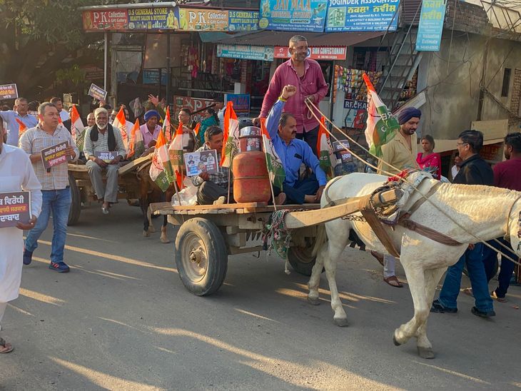 पेट्रोल-डीजल-गैस की महंगाई पर कांग्रेस का प्रदर्शन:  होशियारपुर में खच्चर रेहड़े पर सिलेंडर रखकर निकाला मार्च, केंद्र-राज्य सरकार के खिलाफ नारेबाजी – Hoshiarpur News