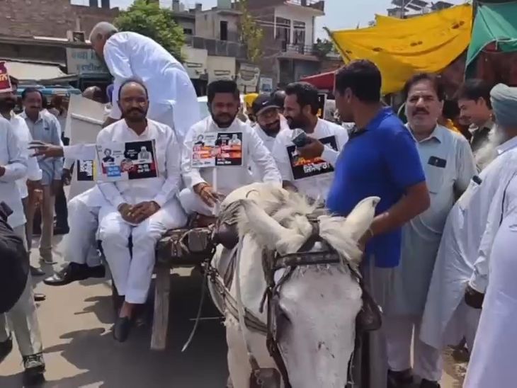 जलालाबाद में महंगाई के खिलाफ कांग्रेस का प्रदर्शन:  गैस सिलेंडर लेकर सड़कों पर उतरे कार्यकर्ता, भाजपा पर साधा निशाना – Fazilka News