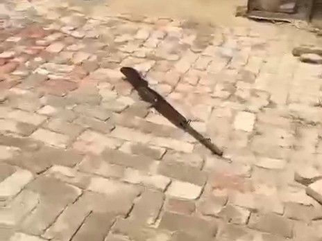 फिरोजपुर में जमीन के विवाद में फायरिंग:  एक व्यक्ति को गोली लगी, एक दिन पहले धमकी देने का आरोप, तीन पर केस – Fazilka News