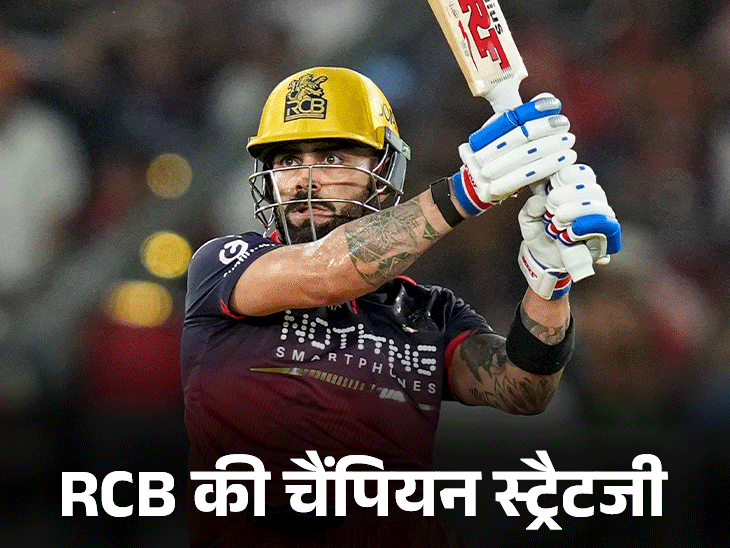 बेंगलुरु को दोबारा चैंपियन बनाने वाले टॉप-5 फैक्टर:  टीम में 8 मैच विनर; कोहली ने 675 रन बनाए, भुवनेश्वर ने 28 विकेट लिए