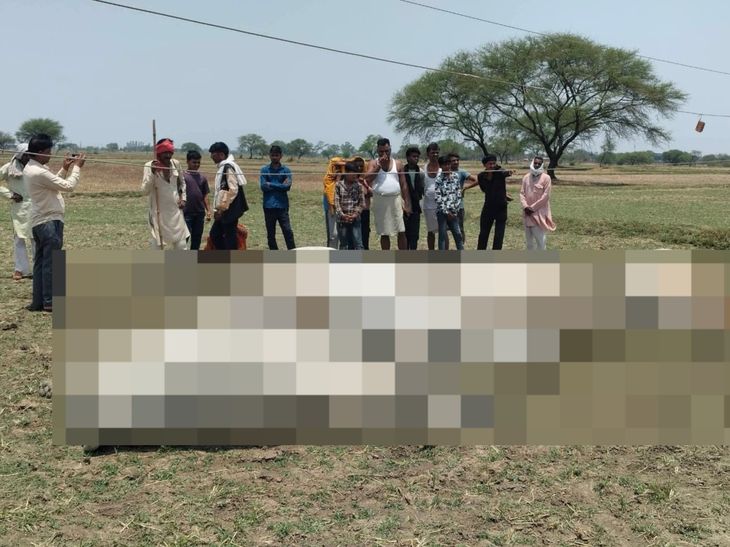Bundelkhand Farmer Union Demands Compensation Over Cattle Deaths | High ...