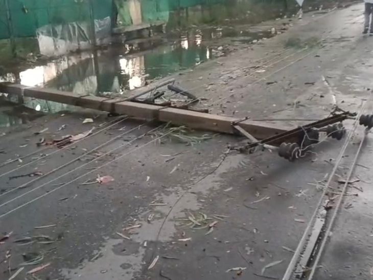 पटियाला में तेज बारिश और आंधी से गिरे पेड़:  खालसा कॉलेज के पास 8 खंभे, एक ट्रांसफार्मर क्षतिग्रस्त; कई इलाकों की बिजली गुल – Patiala News