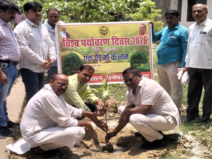 Tarun Block Tree Plantation | World Environment Day; Officials & Public ...