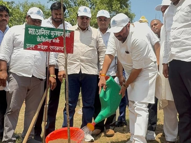World Environment Day: Hundreds of Plants Planted on Gang Nahar Route ...