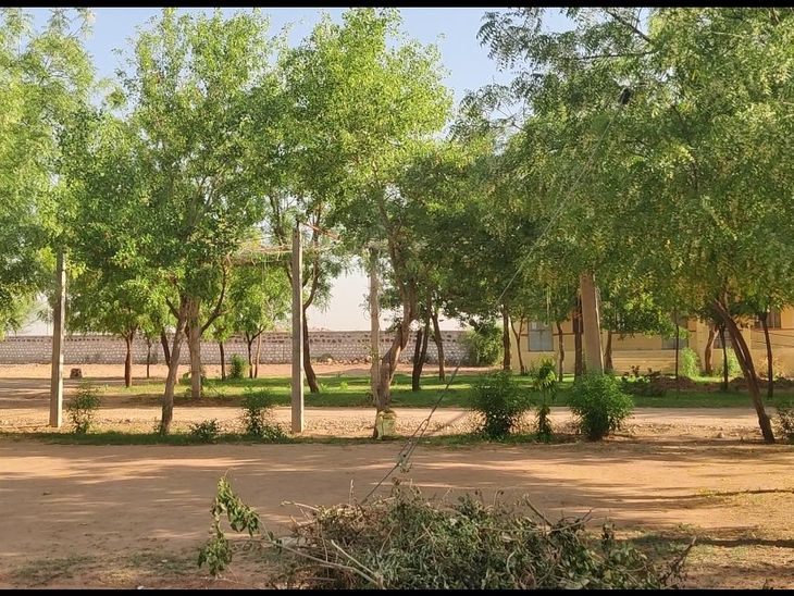 School Campus Boasts 700 Trees | Arun Vyass 24-Year Green Initiative