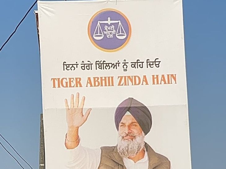 अमृतसर में सरकार के खिलाफ गरमाया ‘पोस्टर वॉर’:  मजीठिया के समर्थन में लगे ‘टाइगर अभी जिंदा है’ के होर्डिंग्स, विरोधियों पर तंज – Amritsar News