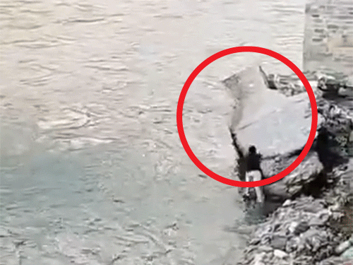 हिमाचल में व्यास नदी में डूबा पंजाब का युवक:  दो दोस्तों को बचाने के लिए पानी में कूदा, दोनों को सुरक्षित निकाला, खुद बह गया – Kullu News