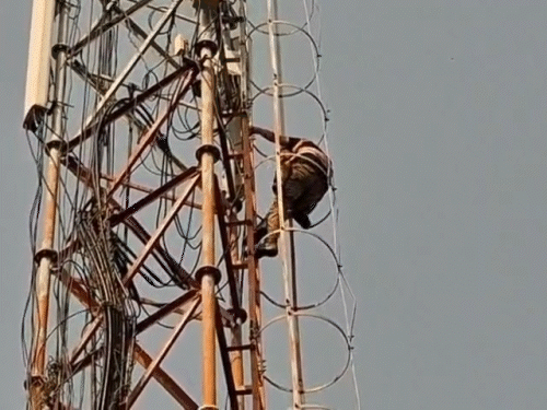 बॉयफ्रेंड संग भागी पत्नी, बेटी लेकर टावर पर चढ़ा पति:  बोला- नशामुक्ति केंद्र का मैनेजर भगा ले गया, पुलिस कार्रवाई नहीं कर रही; लव मैरिज की थी – Khanna News