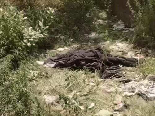 लुधियाना में खाली प्लाट से मिला युवक का शव:  लोगों ने पुलिस को दी सूचना,पोस्टमार्टम के बाद होगा खुलासा, पुलिस जांच में जुटी – Ludhiana News