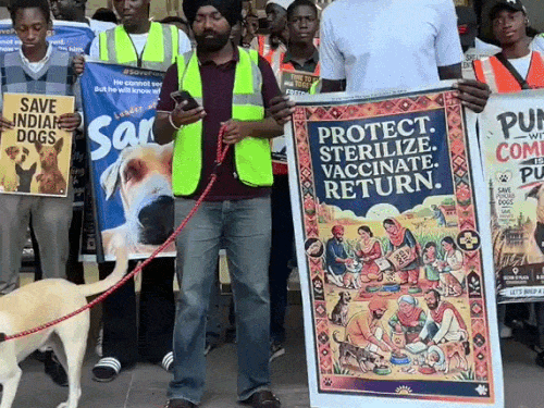 चंडीगढ़ में स्ट्रीट डॉग्स को लेकर प्रदर्शन:  मुख्यमंत्री भगवंत मान के ट्वीट का दिया हवाला, नवजोत कौर सिद्धू भी हुईं शामिल – Chandigarh News