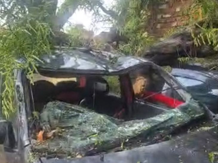 Jaswantnagar Storm: 100-Yr-Old Tree Falls, 3 Cars Damaged