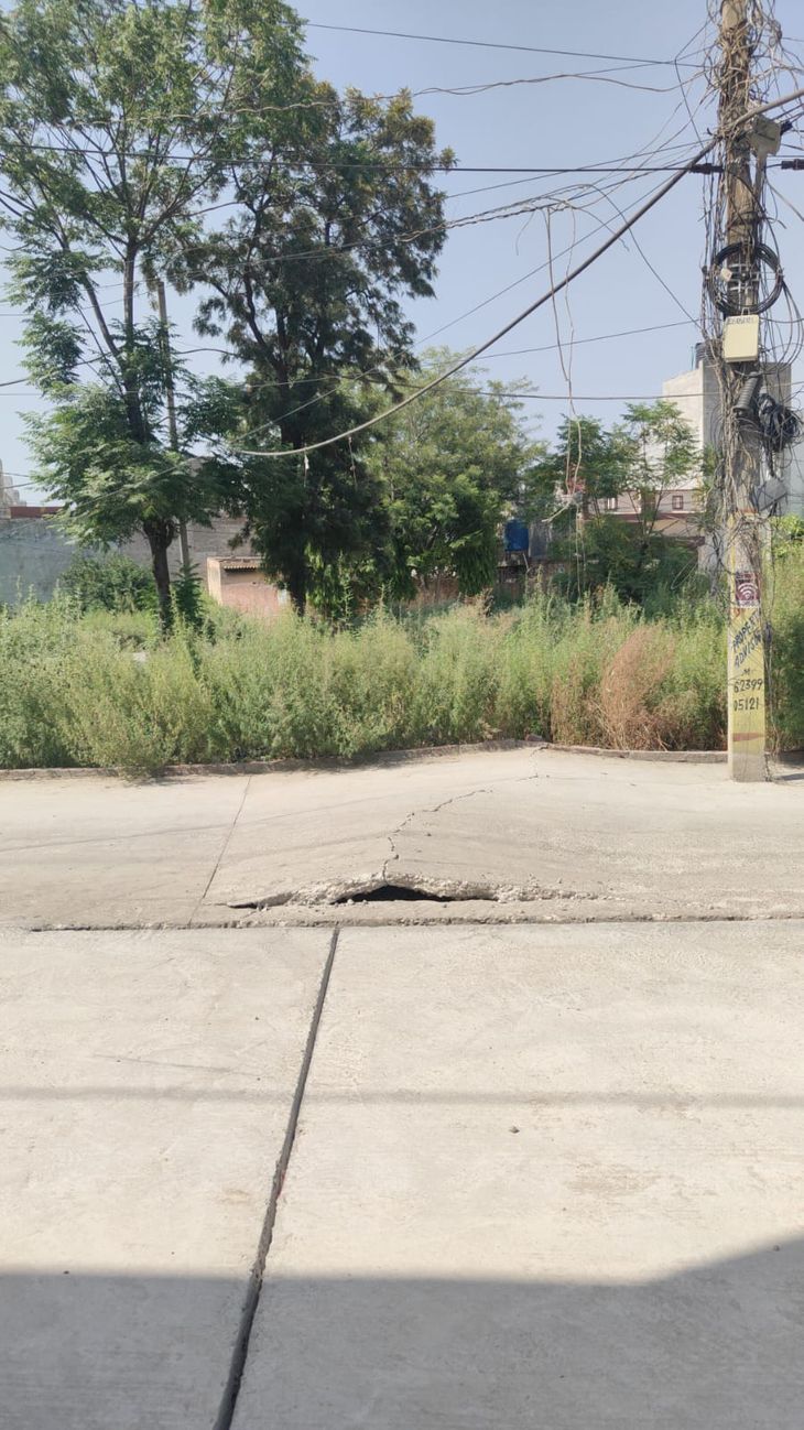 काला संघिया ड्रेन की सफाई करवाने की मांग – Jalandhar News