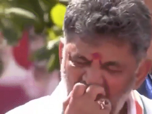 DK Shivakumar Throws Half-Eaten Apple at Supporters, BJP Slams Congress Over Viral Video DK Shivakumar Throws Half-Eaten Apple at Supporters, BJP Slams Congress Over Viral Video