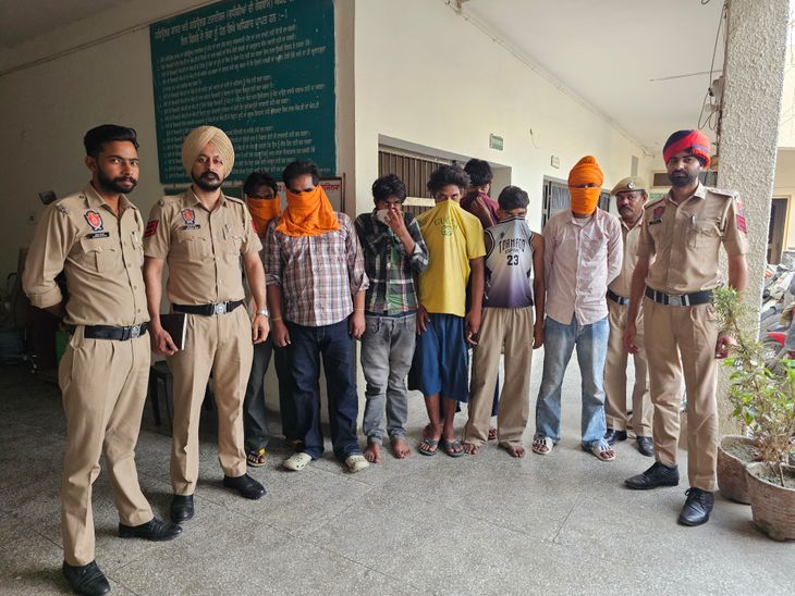 अबोहर में चोरों की बड़ी गैंग का भंडाफोड़:  7 युवक गिरफ्तार, 29 के खिलाफ मामला दर्ज; सीडफार्म में पुलिस ने की छापेमारी – Abohar News
