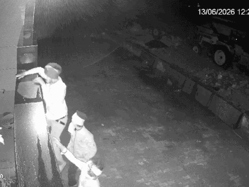 नारनौल में दीवार फांदकर घर में घुसे चोर, VIDEO:  ज्वेलरी-कैश चोरी कर ले गए; पुणे के CRPF कैंप में कैंटीन चलाता मकान मालिक – Narnaul News