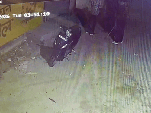 लुधियाना में किराना दुकान का शटर उखाड़कर की चोरी:  काली एक्टिवा पर आई महिला और दो नकाबपोश युवक, सीसीटीवी में कैद हुई वारदात पुलिस जांच में जुटी – Ludhiana News
