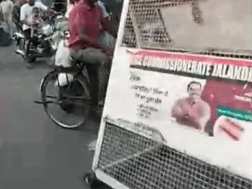 जालंधर के वाल्मीकि चौक पर हंगामा:  चोरी के आरोपियों का मार्केट प्रधान पर हमला, दुकानदारों ने लगाया जाम; भारी पुलिस बल तैनात – Jalandhar News