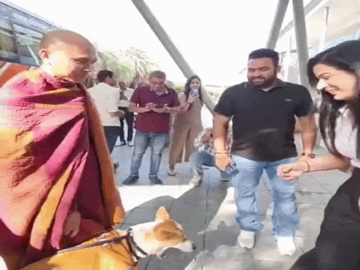 गुरुग्राम में ‘पीस डॉग’ से मिलने की होड़:  युवतियों ने सेल्फी ली, 3,700 KM पदयात्रा कर भारत आया; इंस्टाग्राम पर 4.8 लाख फॉलोअर्स – gurugram News