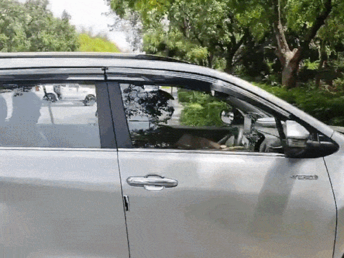 राहुल गांधी की पंजाब कांग्रेस नेताओं के साथ अहम बैठक:  पांच टॉप नेता दिल्ली बुलाए गए, 2027 को लेकर बनेगी स्ट्रेटजी व रोल होंगे तय – Mohali News